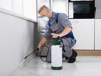 About Office Building Treatments Jeremy Ranch - office building treatments experts in Jeremy Ranch